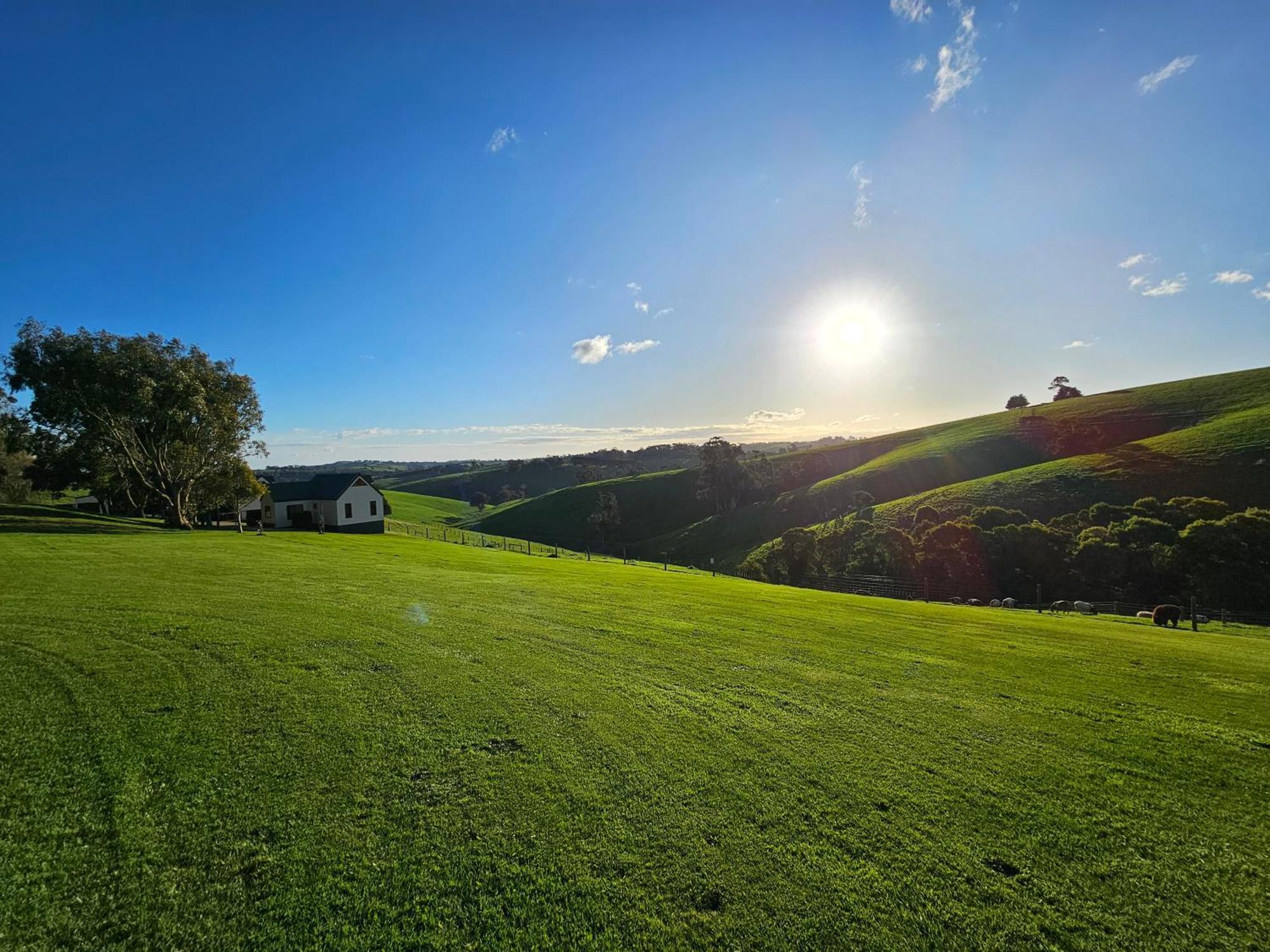 Maple Ridge Cottages Dumbalk Екстер'єр фото