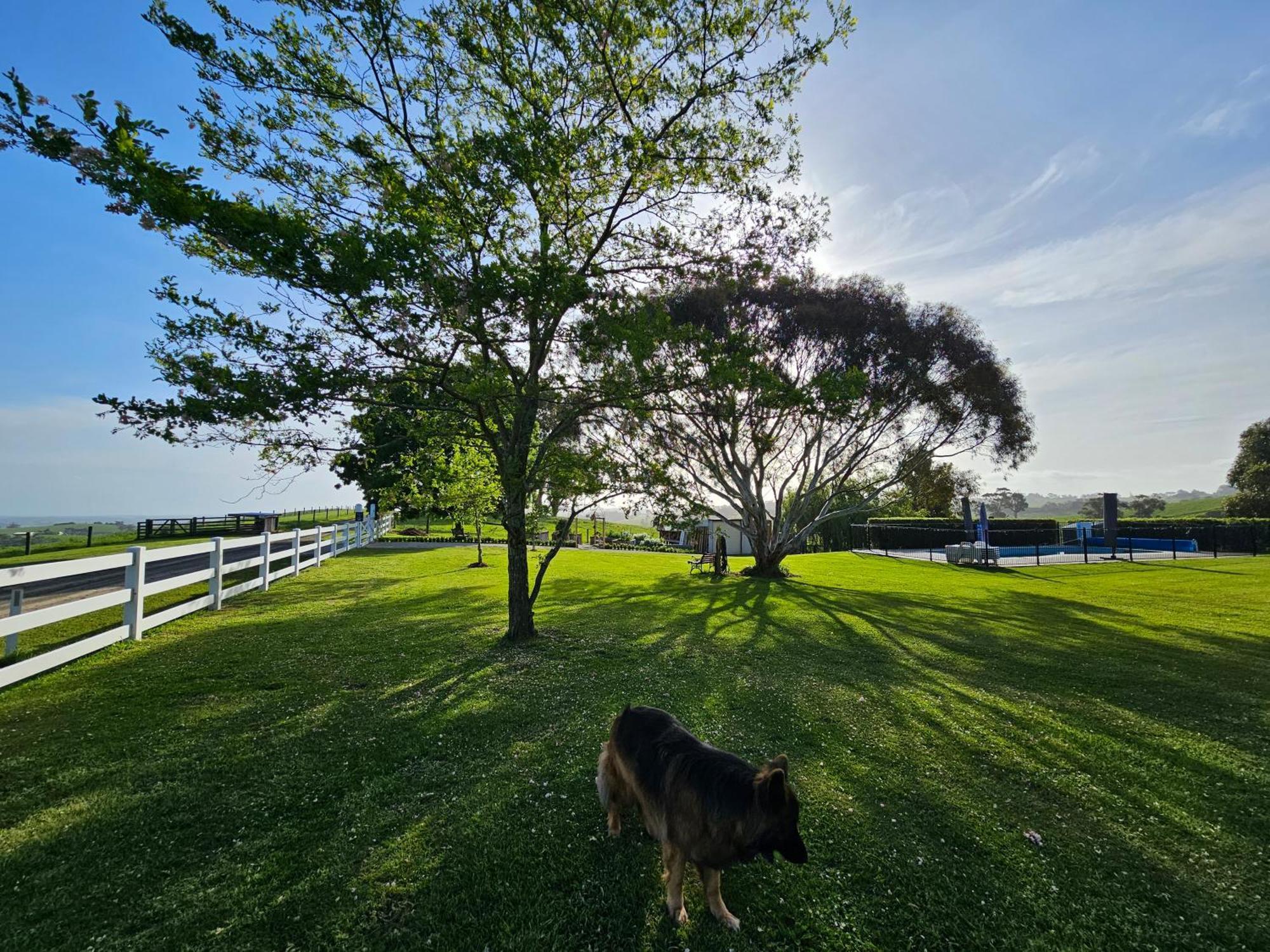 Maple Ridge Cottages Dumbalk Екстер'єр фото